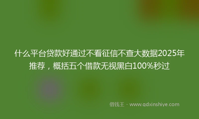 什么平台贷款好通过不看征信不查大数据2025年推荐，概括五个借款无视黑白100%秒过