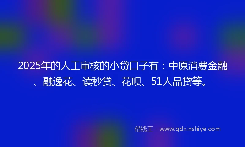 2025年的人工审核的小贷口子有：中原消费金融、融逸花、读秒贷、花呗、51人品贷等。