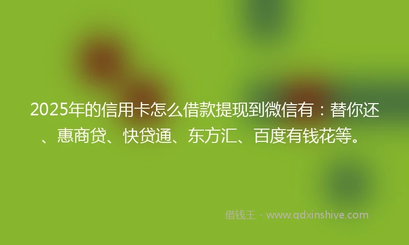 2025年的信用卡怎么借款提现到微信有：替你还、惠商贷、快贷通、东方汇、百度有钱花等。