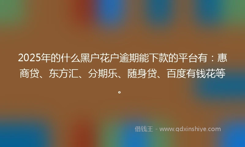 2025年的什么黑户花户逾期能下款的平台有：惠商贷、东方汇、分期乐、随身贷、百度有钱花等。