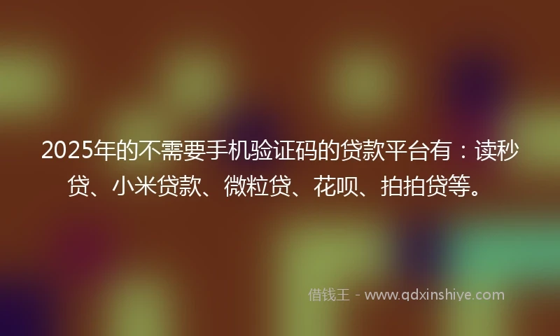 2025年的不需要手机验证码的贷款平台有：读秒贷、小米贷款、微粒贷、花呗、拍拍贷等。