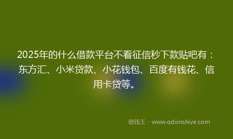 2025年的什么借款平台不看征信秒下款贴吧有：东方汇、小米贷款、小花钱包、百度有钱花、信用卡贷等。