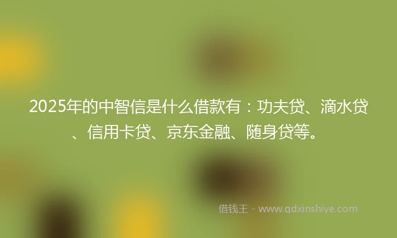 2025年的中智信是什么借款有：功夫贷、滴水贷、信用卡贷、京东金融、随身贷等。