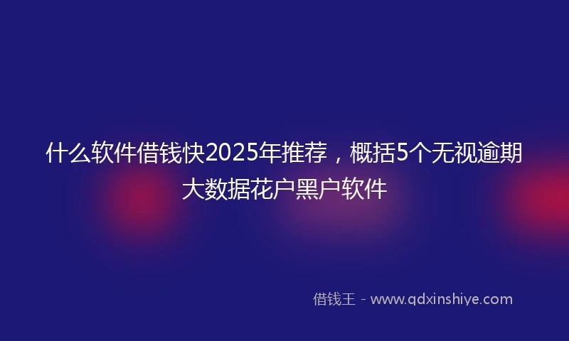 什么软件借钱快2025年推荐，概括5个无视逾期大数据花户黑户软件