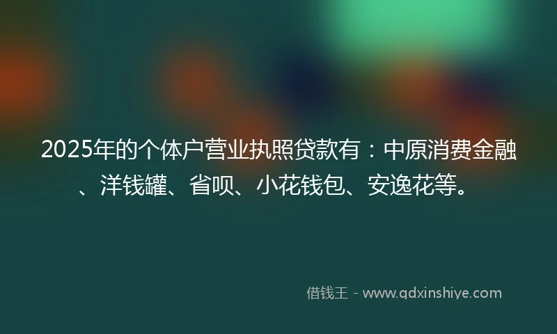 2025年的个体户营业执照贷款有：中原消费金融、洋钱罐、省呗、小花钱包、安逸花等。