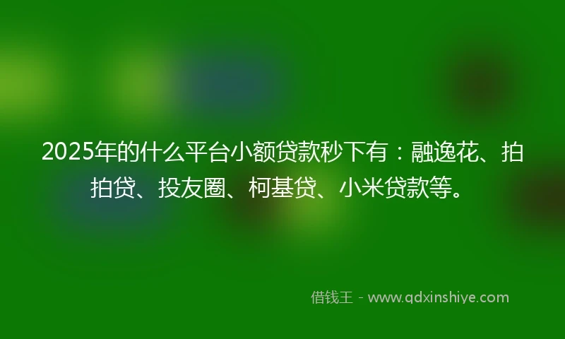 2025年的什么平台小额贷款秒下有：融逸花、拍拍贷、投友圈、柯基贷、小米贷款等。