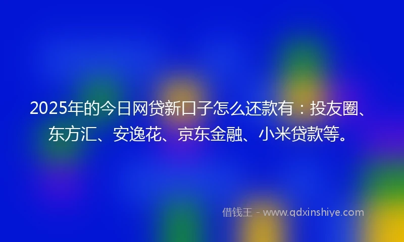 2025年的今日网贷新口子怎么还款有：投友圈、东方汇、安逸花、京东金融、小米贷款等。
