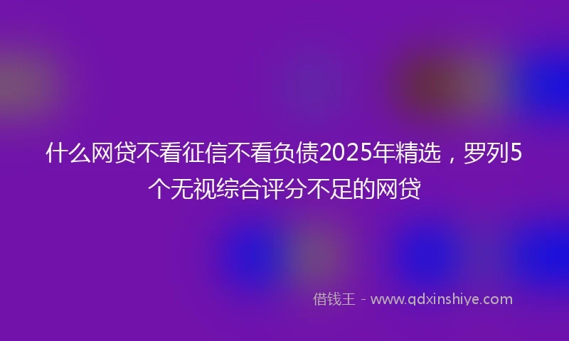 什么网贷不看征信不看负债2025年精选，罗列5个无视综合评分不足的网贷