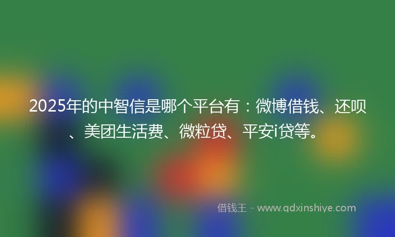 2025年的中智信是哪个平台有:微博借钱、还呗、美团生活费、微粒贷、平安i贷等。