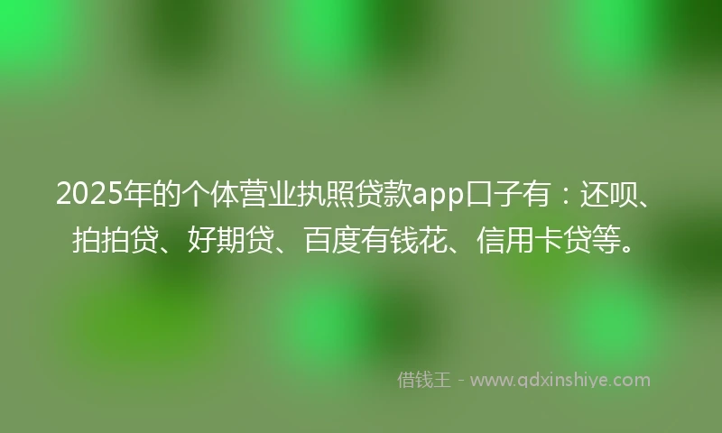 2025年的个体营业执照贷款app口子有：还呗、拍拍贷、好期贷、百度有钱花、信用卡贷等。