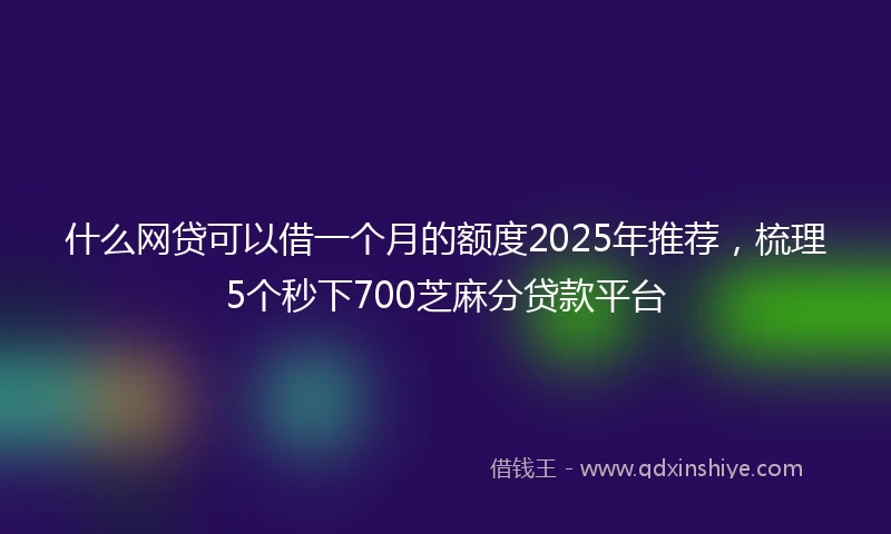 什么网贷可以借一个月的额度2025年推荐，梳理5个秒下700芝麻分贷款平台