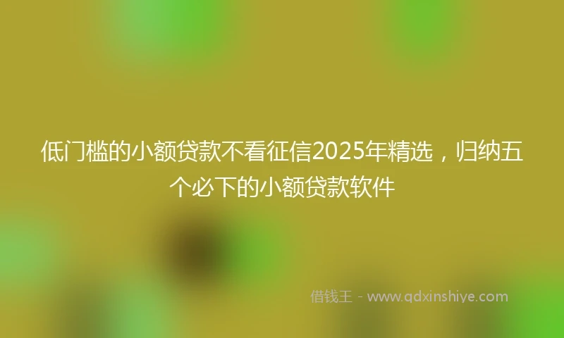 低门槛的小额贷款不看征信2025年精选，归纳五个必下的小额贷款软件