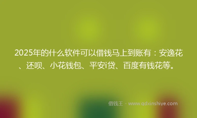 2025年的什么软件可以借钱马上到账有：安逸花、还呗、小花钱包、平安i贷、百度有钱花等。