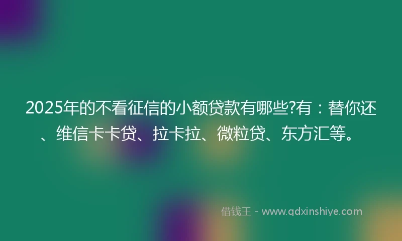2025年的不看征信的小额贷款有哪些?有：替你还、维信卡卡贷、拉卡拉、微粒贷、东方汇等。