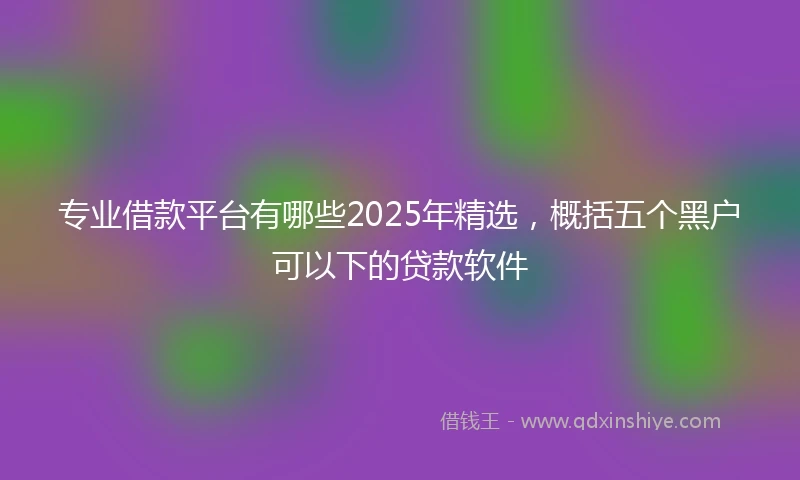 专业借款平台有哪些2025年精选，概括五个黑户可以下的贷款软件