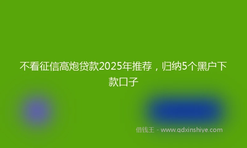 不看征信高炮贷款2025年推荐，归纳5个黑户下款口子