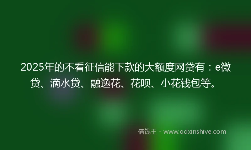 2025年的不看征信能下款的大额度网贷有：e微贷、滴水贷、融逸花、花呗、小花钱包等。