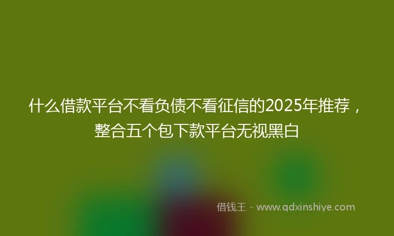 什么借款平台不看负债不看征信的2025年推荐，整合五个包下款平台无视黑白