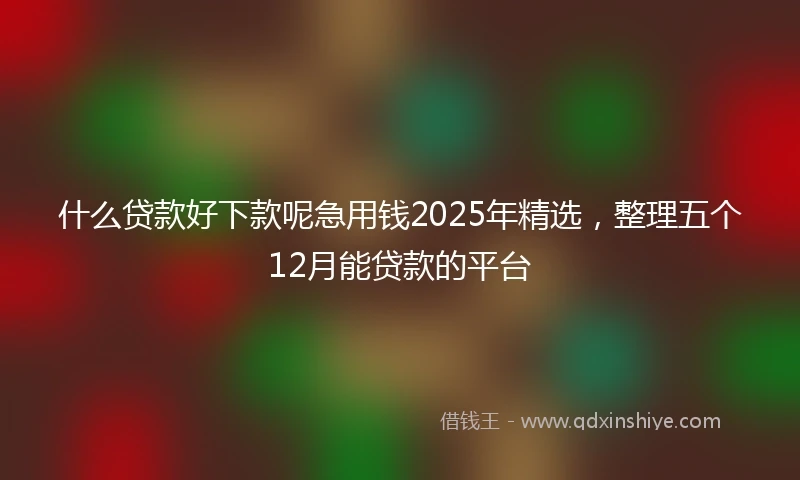 什么贷款好下款呢急用钱2025年精选，整理五个12月能贷款的平台