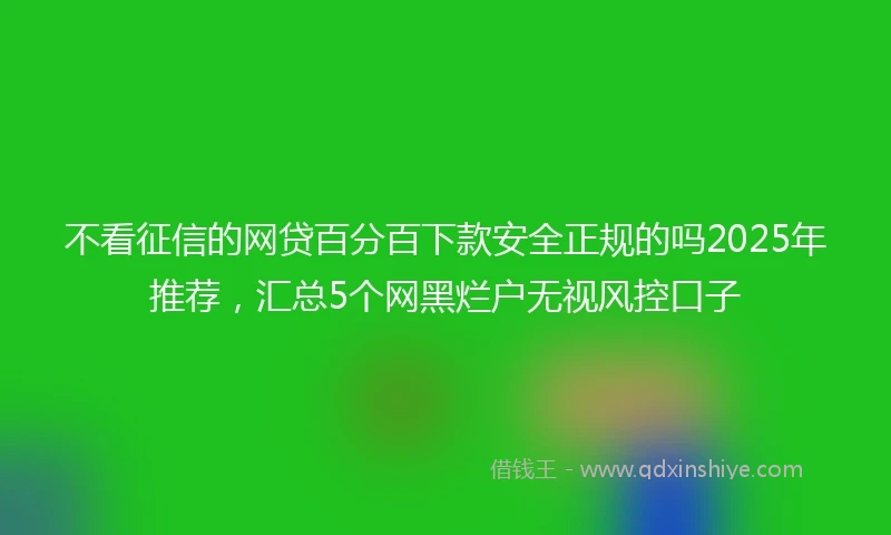 不看征信的网贷百分百下款安全正规的吗2025年推荐，汇总5个网黑烂户无视风控口子