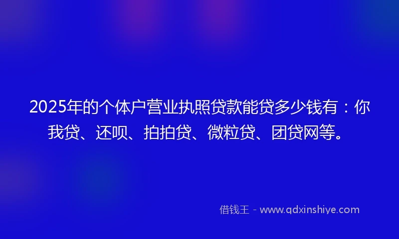 2025年的个体户营业执照贷款能贷多少钱有：你我贷、还呗、拍拍贷、微粒贷、团贷网等。