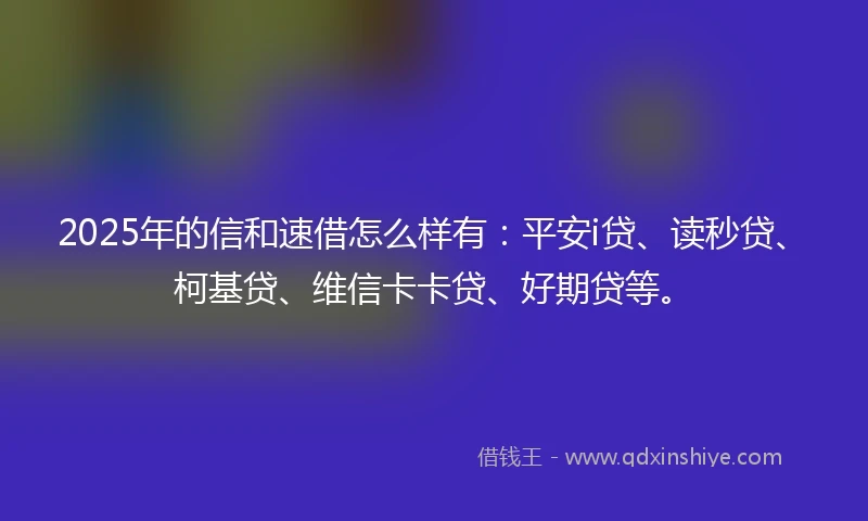 2025年的信和速借怎么样有：平安i贷、读秒贷、柯基贷、维信卡卡贷、好期贷等。
