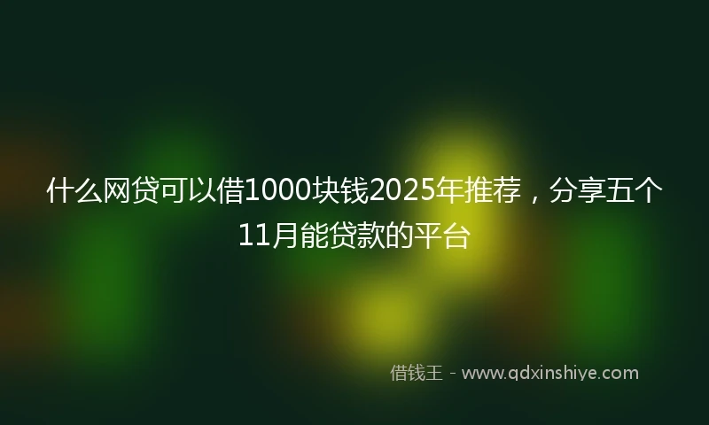 什么网贷可以借1000块钱2025年推荐，分享五个11月能贷款的平台