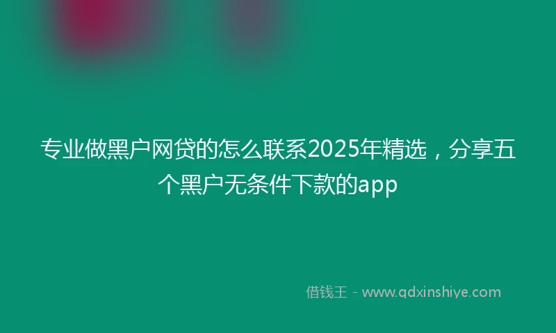 专业做黑户网贷的怎么联系2025年精选，分享五个黑户无条件下款的app