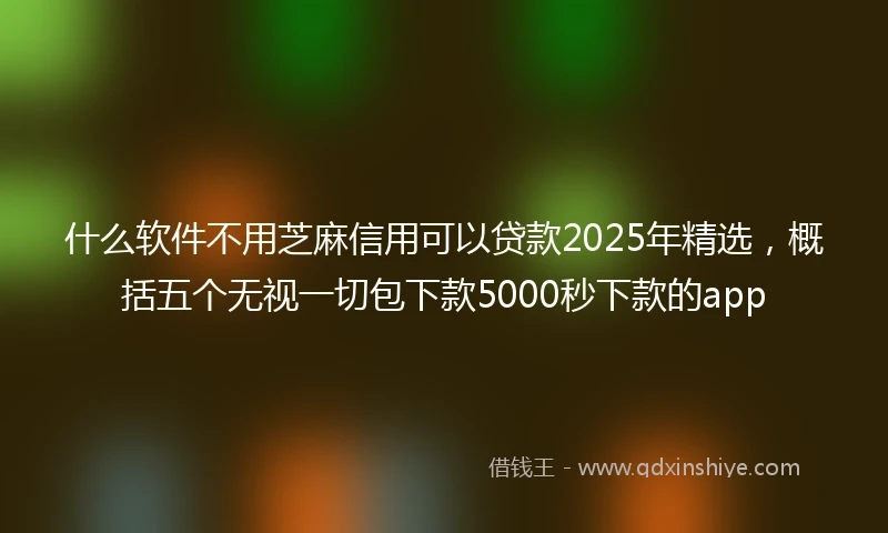 什么软件不用芝麻信用可以贷款2025年精选，概括五个无视一切包下款5000秒下款的app
