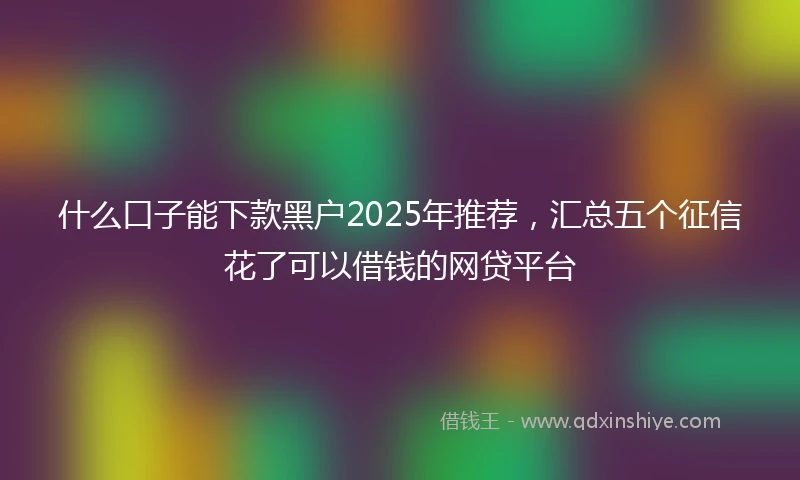什么口子能下款黑户2025年推荐，汇总五个征信花了可以借钱的网贷平台