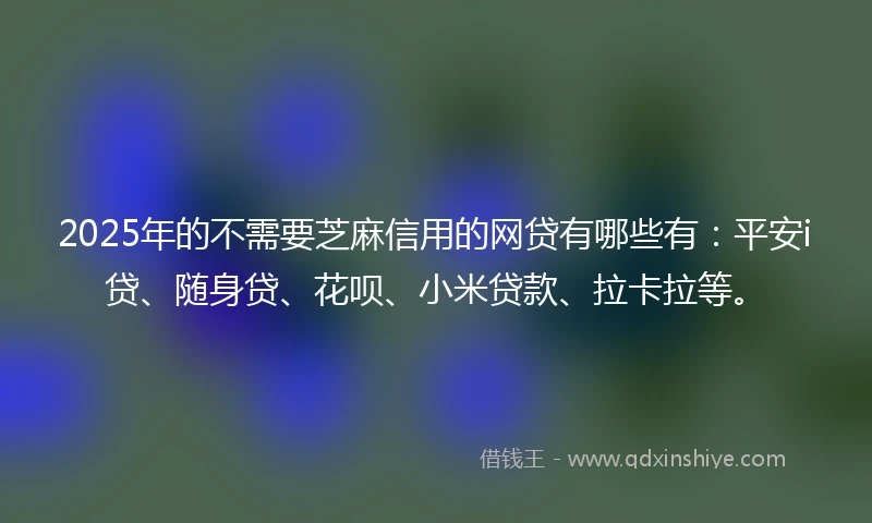 2025年的不需要芝麻信用的网贷有哪些有：平安i贷、随身贷、花呗、小米贷款、拉卡拉等。