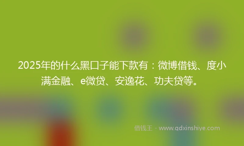 2025年的什么黑口子能下款有：微博借钱、度小满金融、e微贷、安逸花、功夫贷等。