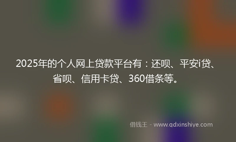 2025年的个人网上贷款平台有：还呗、平安i贷、省呗、信用卡贷、360借条等。