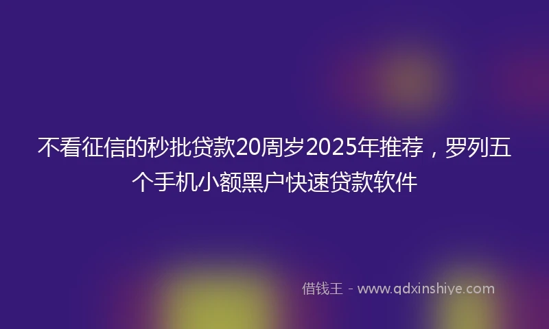 不看征信的秒批贷款20周岁2025年推荐，罗列五个手机小额黑户快速贷款软件