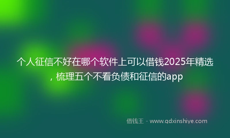 个人征信不好在哪个软件上可以借钱2025年精选，梳理五个不看负债和征信的app