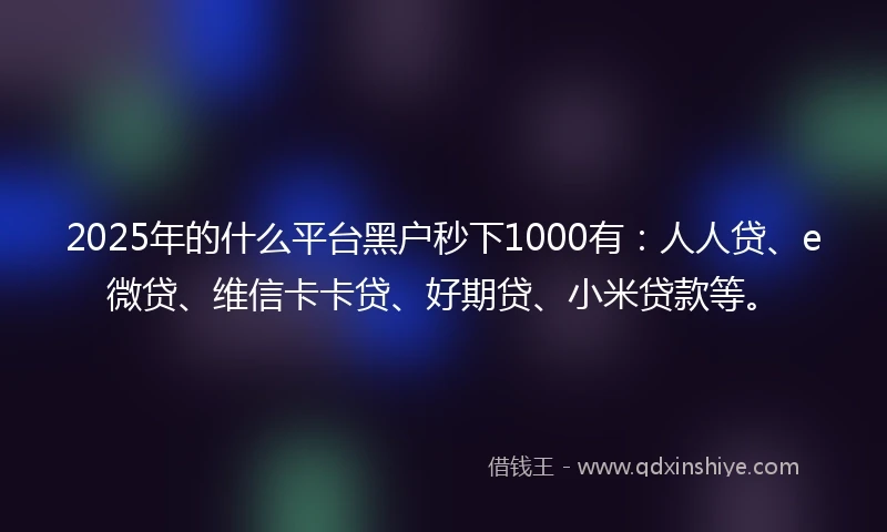 2025年的什么平台黑户秒下1000有：人人贷、e微贷、维信卡卡贷、好期贷、小米贷款等。