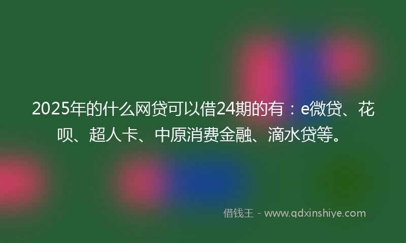 2025年的什么网贷可以借24期的有：e微贷、花呗、超人卡、中原消费金融、滴水贷等。