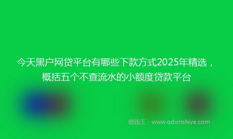 今天黑户网贷平台有哪些下款方式2025年精选，概括五个不查流水的小额度贷款平台