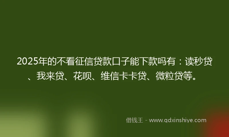 2025年的不看征信贷款口子能下款吗有：读秒贷、我来贷、花呗、维信卡卡贷、微粒贷等。