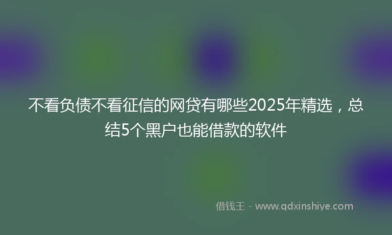 不看负债不看征信的网贷有哪些2025年精选，总结5个黑户也能借款的软件