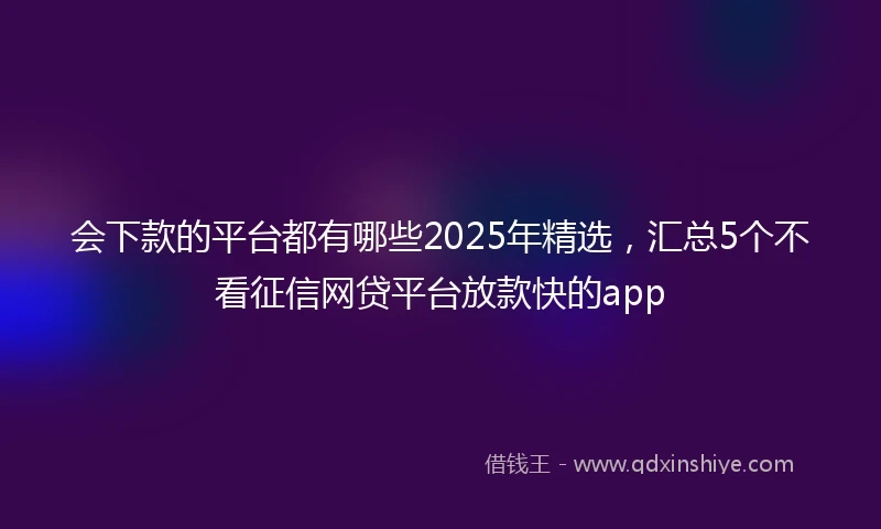 会下款的平台都有哪些2025年精选，汇总5个不看征信网贷平台放款快的app