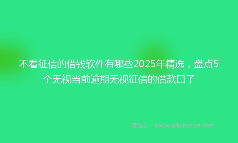 不看征信的借钱软件有哪些2025年精选，盘点5个无视当前逾期无视征信的借款口子
