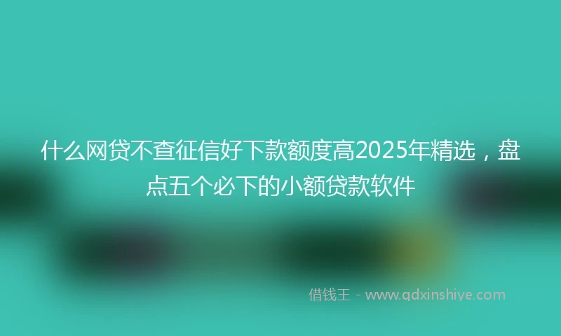 什么网贷不查征信好下款额度高2025年精选，盘点五个必下的小额贷款软件