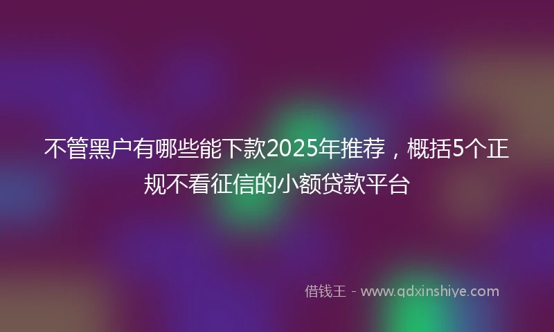不管黑户有哪些能下款2025年推荐，概括5个正规不看征信的小额贷款平台