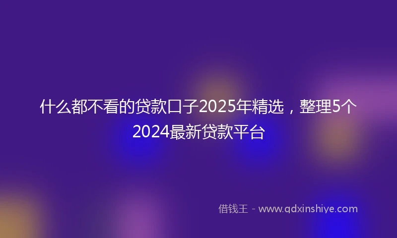 什么都不看的贷款口子2025年精选，整理5个2024最新贷款平台