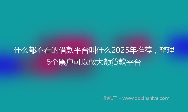 什么都不看的借款平台叫什么2025年推荐，整理5个黑户可以做大额贷款平台