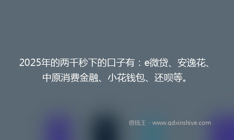 2025年的两千秒下的口子有：e微贷、安逸花、中原消费金融、小花钱包、还呗等。