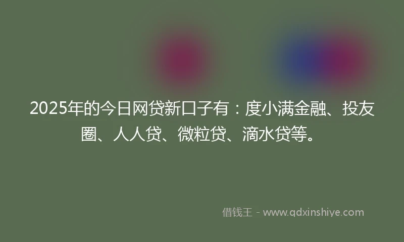 2025年的今日网贷新口子有：度小满金融、投友圈、人人贷、微粒贷、滴水贷等。