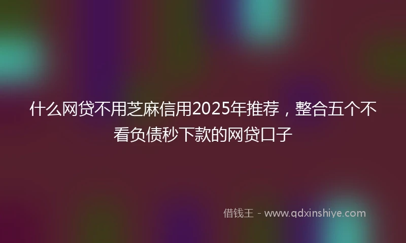 什么网贷不用芝麻信用2025年推荐，整合五个不看负债秒下款的网贷口子