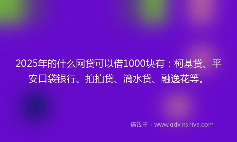 2025年的什么网贷可以借1000块有：柯基贷、平安口袋银行、拍拍贷、滴水贷、融逸花等。